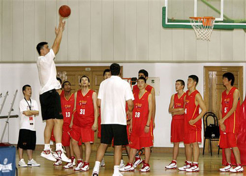 阵容优化的 阵容优化的