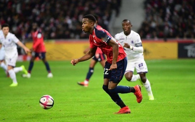 的一大热门 的一大热门